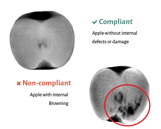 biometic q eye xp x ray isistema di ispezione risultato della scansione interna di qualità 02
