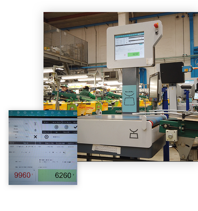 biometic weight master high-precision checkweigher food fruit vegetables applications