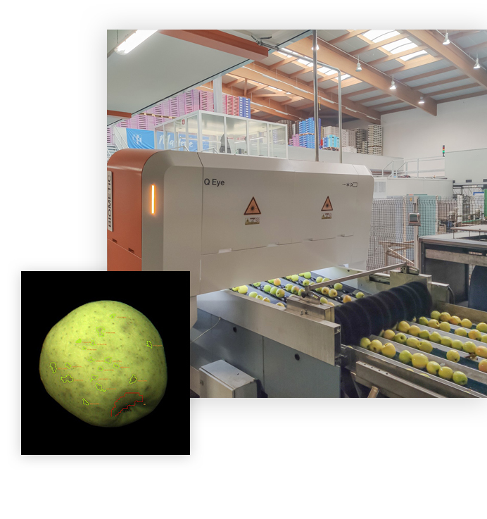 q eye smart 3d optical sorter applications