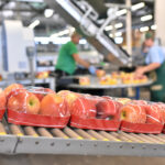 Lebensmittelfabrik_Produktionslibnie_mit_Apfel