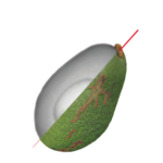 Avocado Internal Quality - Q Eye XP - Biometic's Food Safety Solutions