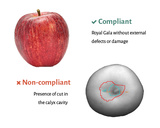 apples external quality problems