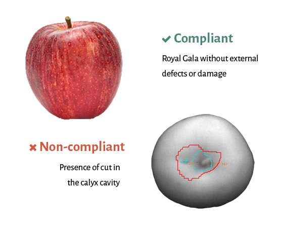 äpfel probleme externe qualität