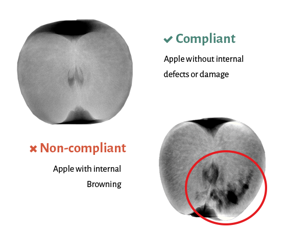 apples internal quality problems