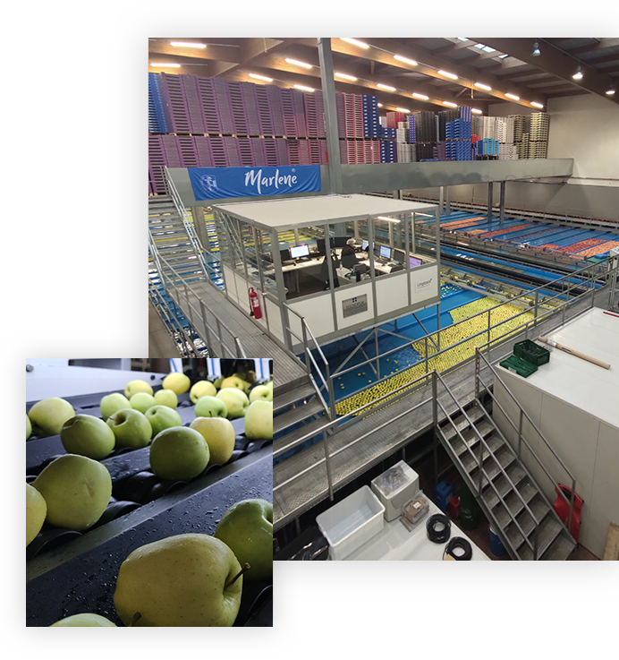 Biometic | Production Process Optimization Solutions