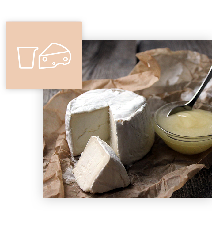 ispezione alimentare industria formaggi e latticini