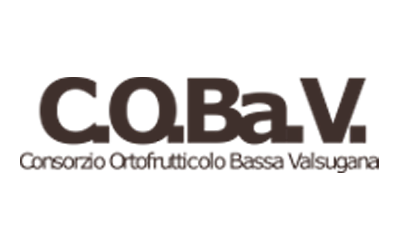 Co.Ba.V