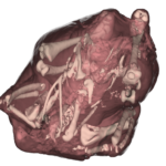 BIOMETiC | Hühnerfleisch Lebensmittelsicherheit