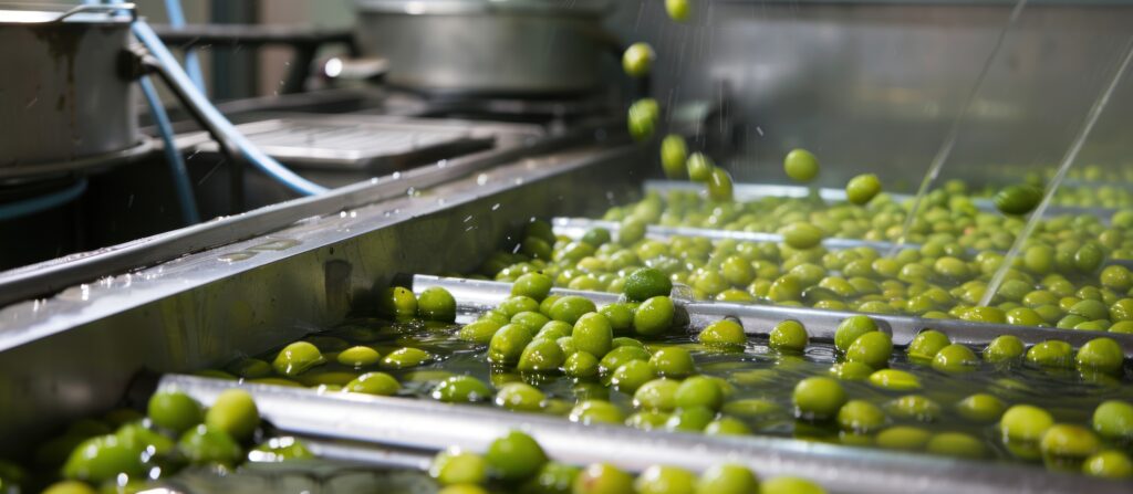 Olive,Cleaning,Process,In,Factory