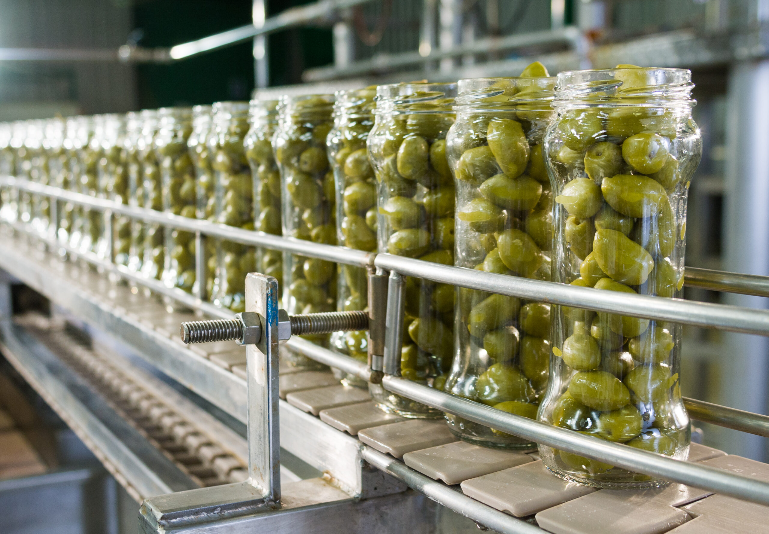 canned olives