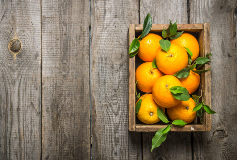 Citrus Sorting based on Artificial Intelligence