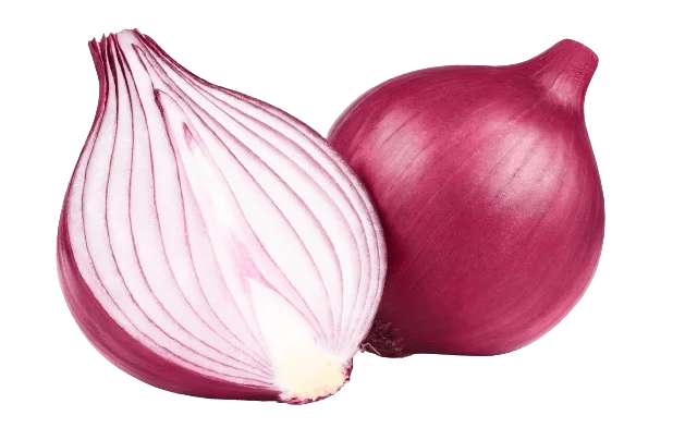 BIOMETiC Q Eye Spectro Internal Fruit Quality Onion